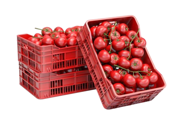 tomatoes-plastic-crates-isolated-white_708636-572_prev_ui